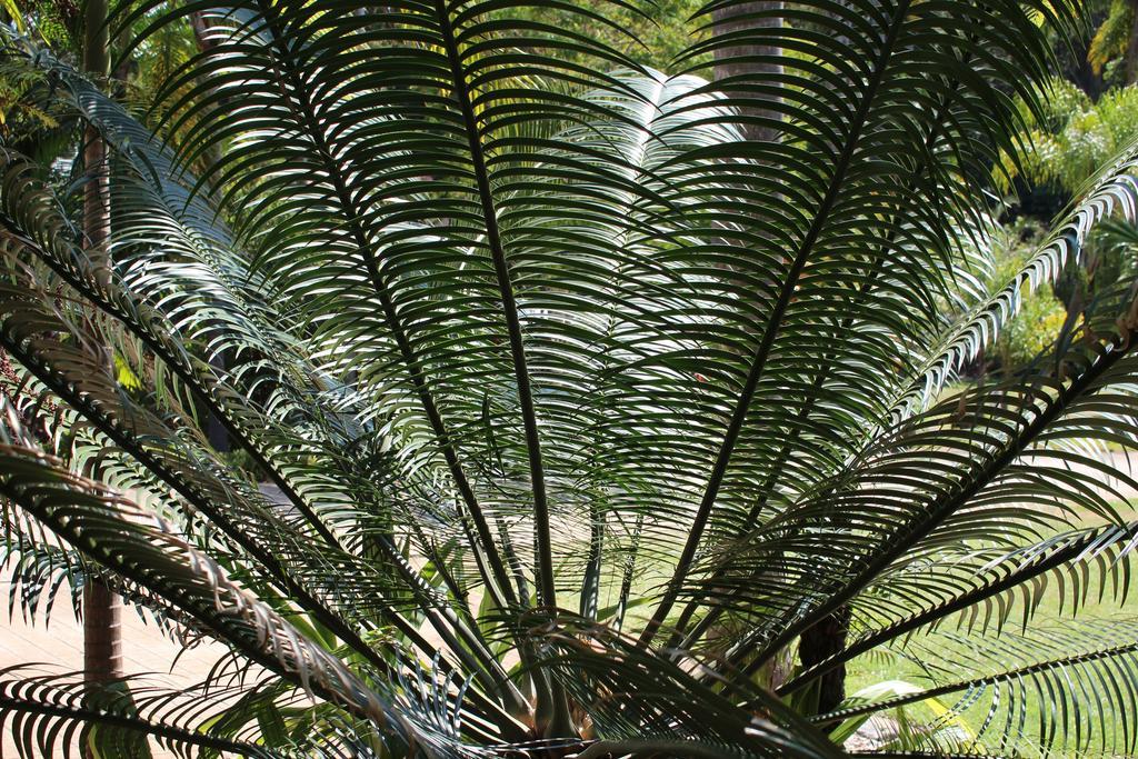 Korora Bay Village Resort Buitenkant foto